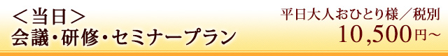 <当日>会議・研修・セミナープラン