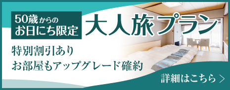 大人旅プラン