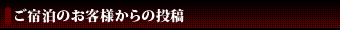 ご宿泊のお客様からの投稿